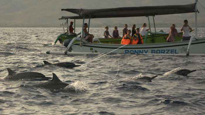 Daftar Destinasi Wisata Bali Utara Populer 2023