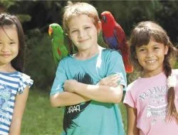 Bali Bird Park – Satu-satunya taman burung terlengkap di Bali