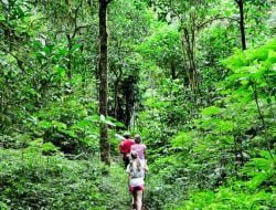 Danau Buyan and Tamblingan Jungle Trekking