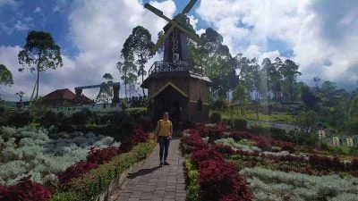 Taman Edelweis Karangasem Bali - Lokasi, dan harga tiket masuk