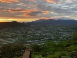 Wisata Desa Pinggan Kintamani – Lokasi dan Tiket Masuk