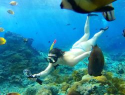 6 Spot Diving dan Snorkeling di Karangasem Bali