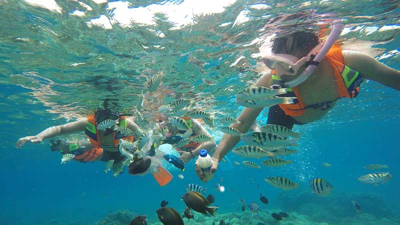 Spot Diving dan Snorkling di Karangasem Bali