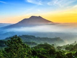 Kintamani Highlands: Destinasi Wisata Tersembunyi di Bali