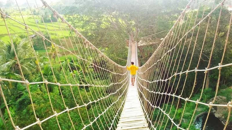 Rumah Pohon Bukit Lempad Peladang Bali
