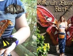 Taman Kupu-Kupu Ubud: Tempat Magis Bertemu Keindahan Alam dan Satwa