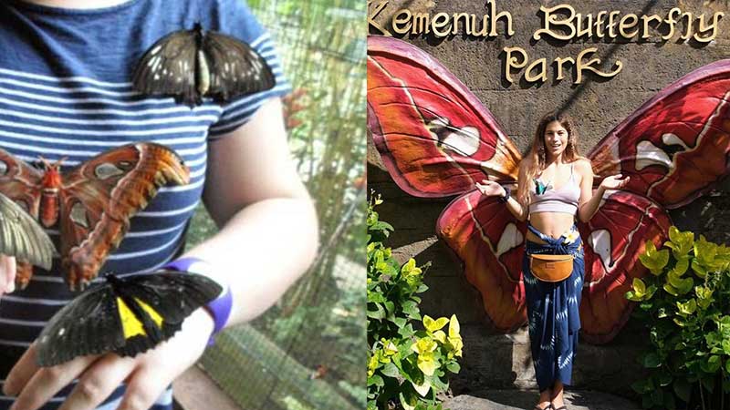 Taman Kupu-Kupu Ubud: Tempat Magis Bertemu Keindahan Alam dan Satwa