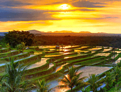 Sawah Terasering Jatiluwih: Harmoni Alam dan Budaya Bali