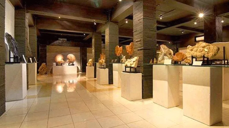 Museum Bali Shell