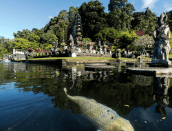 Wisata Tirta Gangga Bali: Jam Buka, Tiket & Rute Terbaik