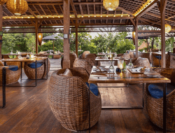 The Elephant Ubud: Surga Vegetarian dengan Panorama Alam Ubud
