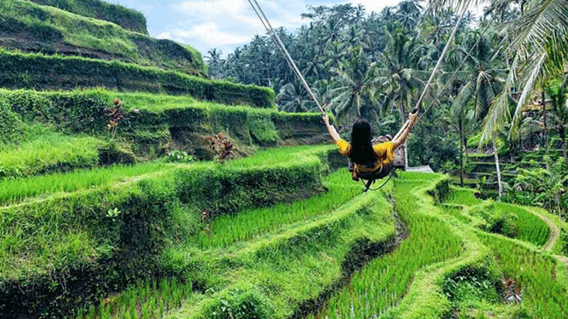 Tegallalang Rice Terrace