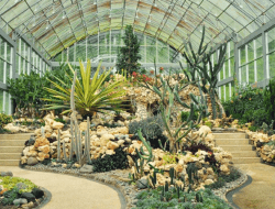 Bali Botanic Garden: Wisata Hijau Sejuk di Jantung Bedugul