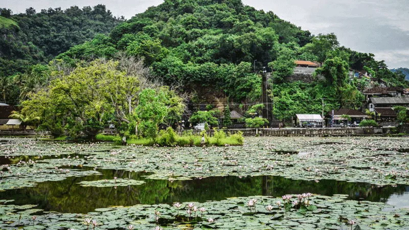Lokasi Lotus Lagoon Candidasa