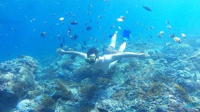 Wall Point Nusa Penida