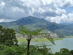 Wanagiri Hidden Hill: Pesona Negeri di Atas Awan Bali yang Memikat