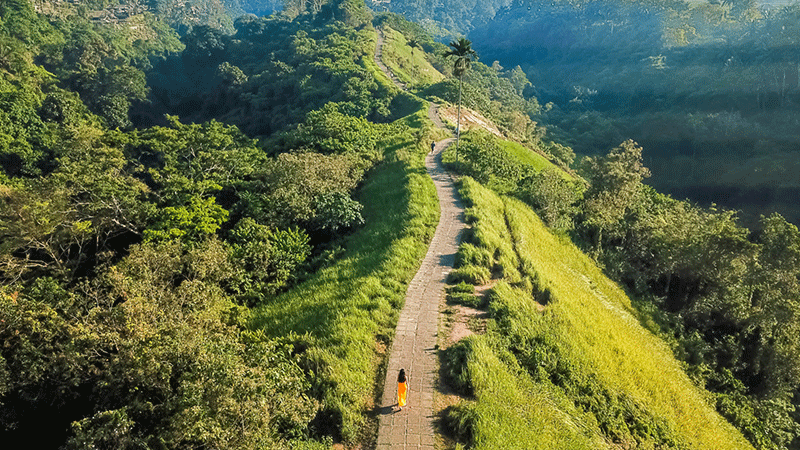 Campuhan Ridge Walk